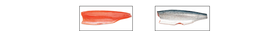 filete3